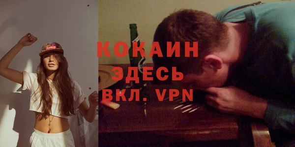 молекула духа Костерёво