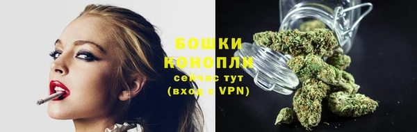 крисы Козловка