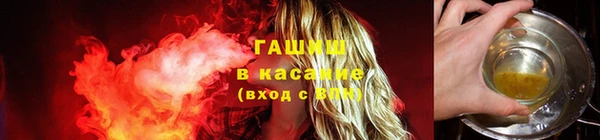 крисы Козловка
