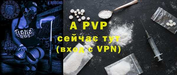 крисы Козловка