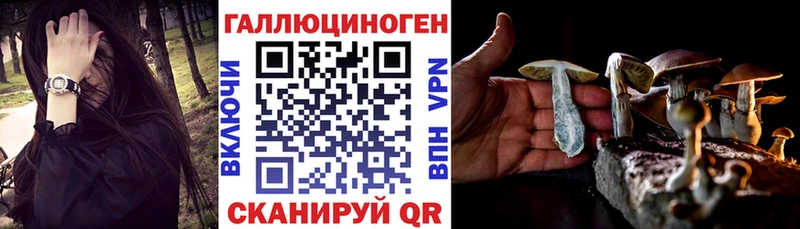 хочу наркоту  Клинцы  Галлюциногенные грибы Psilocybe 